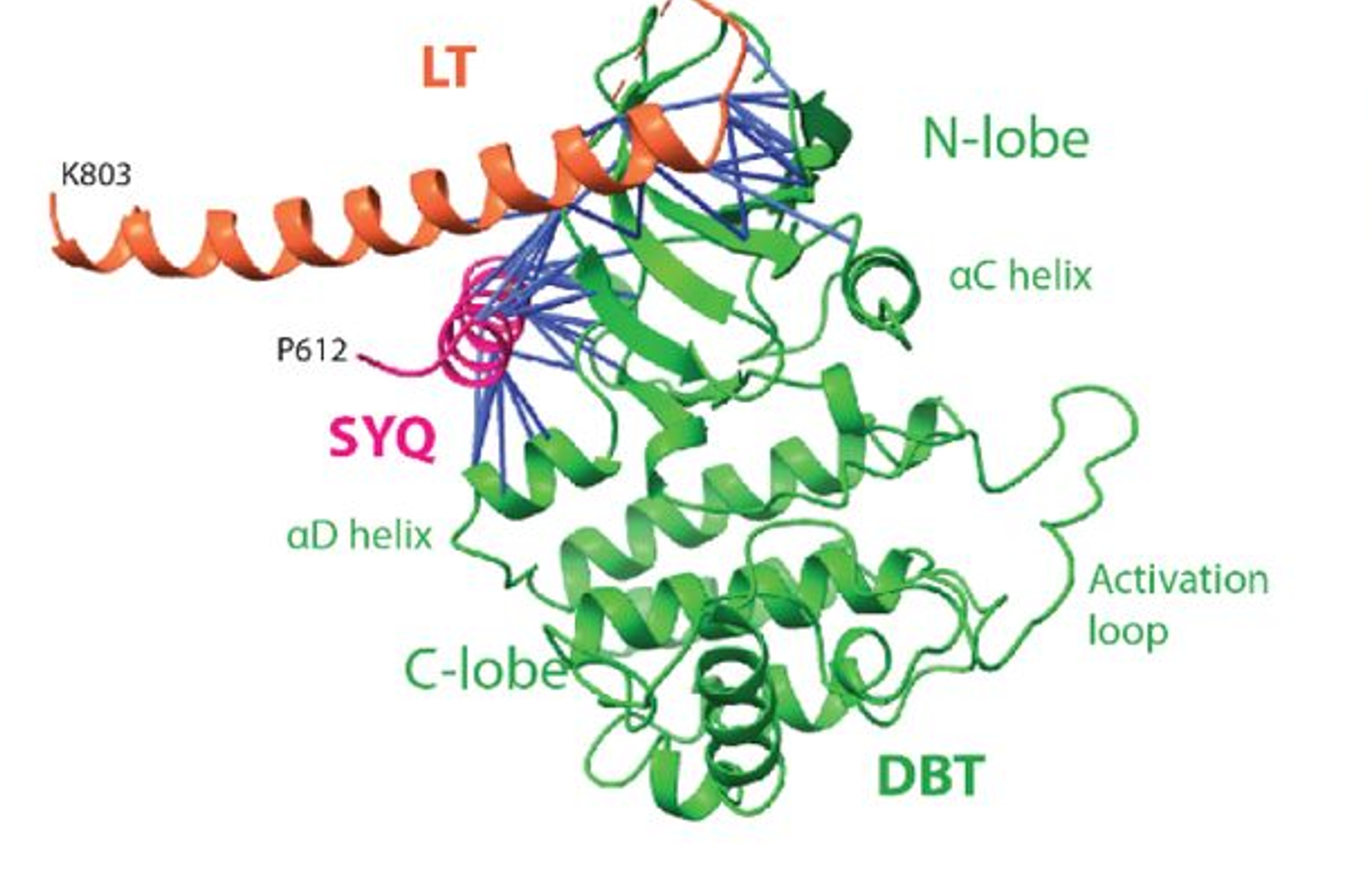 Scientific figure from the project