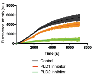 Scientific figure from the project