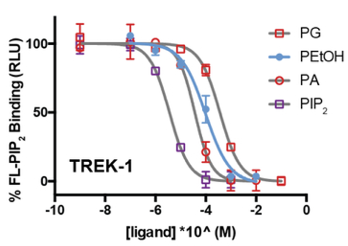 Figure 1 from A Molecular Target for an Alcohol Chain-Length Cutoff