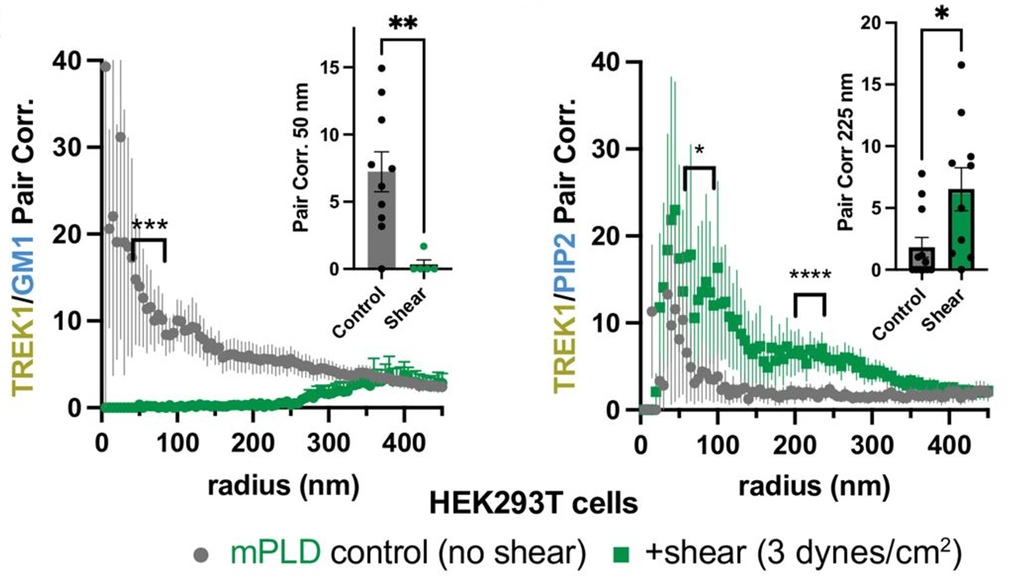Figure 3 from Mechanical activation of TWIK-related potassium channel by nanoscopic movement and rapid second messenger signaling