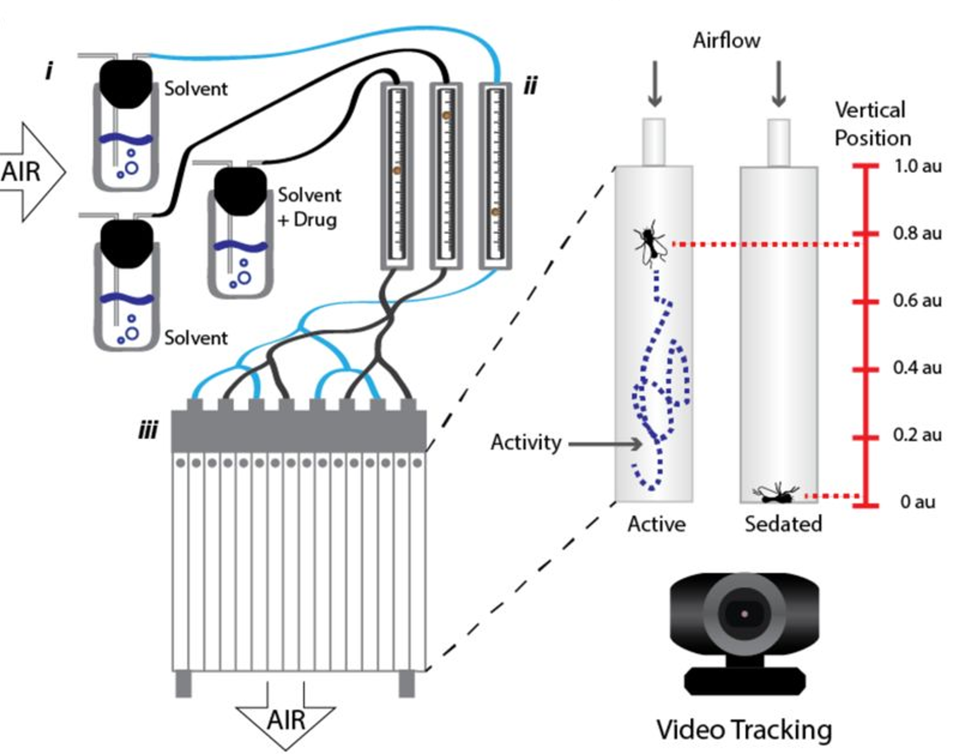 VAAPR Anesthetic Sensitivity Assay Rig